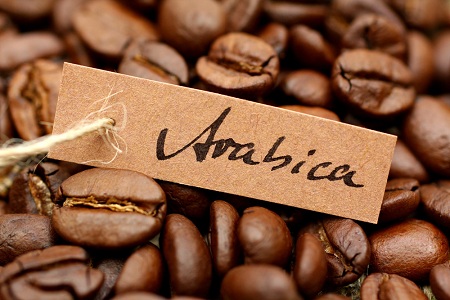 kaffee_arabica1