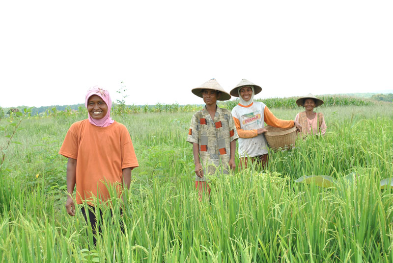 senyum-petani-hutan