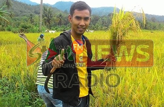 Satu warga adakan syukuran panen padi di desa huta lumban dolok kec siabu