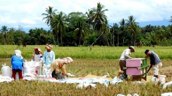 Petani Huraba Sambut Baik Rencana Percetakan Sawah Baru