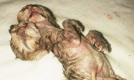 25+ Gambar Kartun Orang Sedang Gotong Royong - Miki Kartun