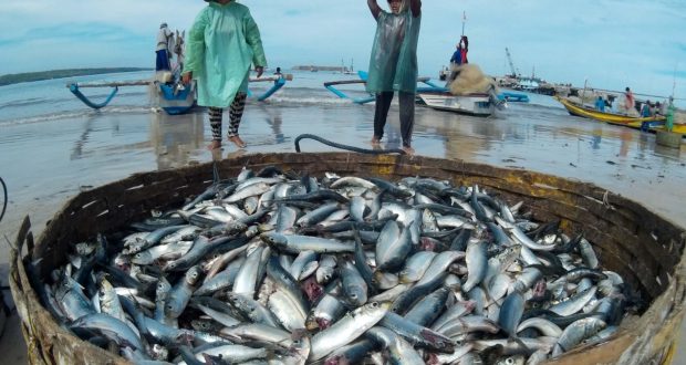 Cuaca Buruk Aktifitas Nelayan Pantai Barat Madina Lumpuh