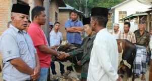 Partai Demokrat Madina Bagikan Kurban Kedesa Tanjung Mompang