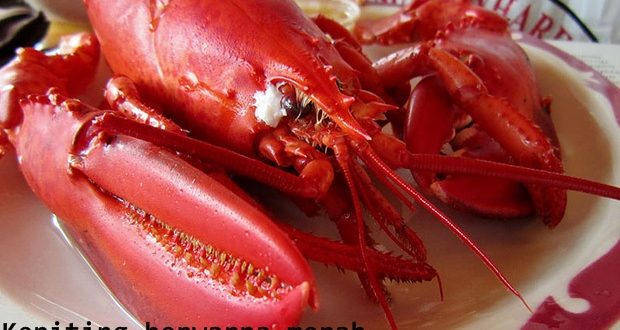 Mengapa kepiting dan udang ketika dimasak menjadi berwarna merah?