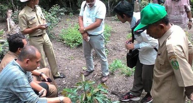 Program Kemendes Pemkab Madina Tinjau Rencana 4 Desa Jadi Kawasan Kopi Mandailing