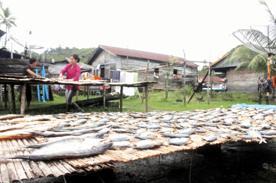 Produksi Ikan Asin Tapteng Anjlok