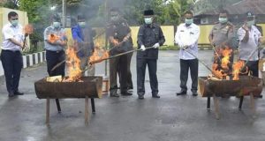 Barang Bukti Narkoba Senilai Ratusan Juta Dimusnahkan Kejari Panyabungan