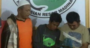 Polres Madina Tangkap 2 Pria Bawa Ganja