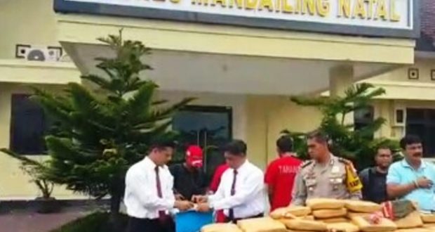 Polisi Amankan 82 Bal Ganja Siap Edar Beserta 3 Tersangka