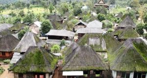Rumah Beratap Ijuk : Masih Didominasi Warga Desa Sibanggor Julu