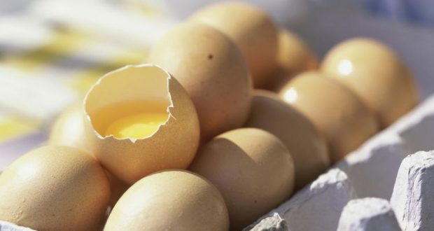 Wabah Salmonella di AS, 200 Juta Butir Telur Ditarik dari Pasaran