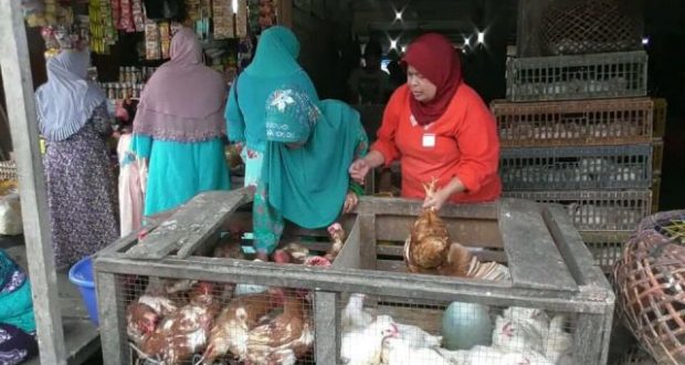 Jelang Ramadhan Harga Ayam Potong Naik