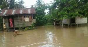Belasan Rumah di Desa Hutagodang Muda Banjir