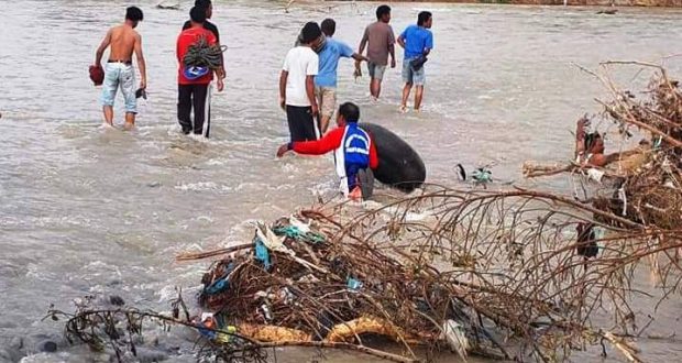 Pencarian Bocah Hanyut di Sungai Batang Gadis Dilanjutkan Pagi ini