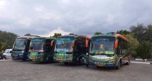 Bus PT ALS Tetap Dipercaya Mengangkut Jamaah Haji Madina