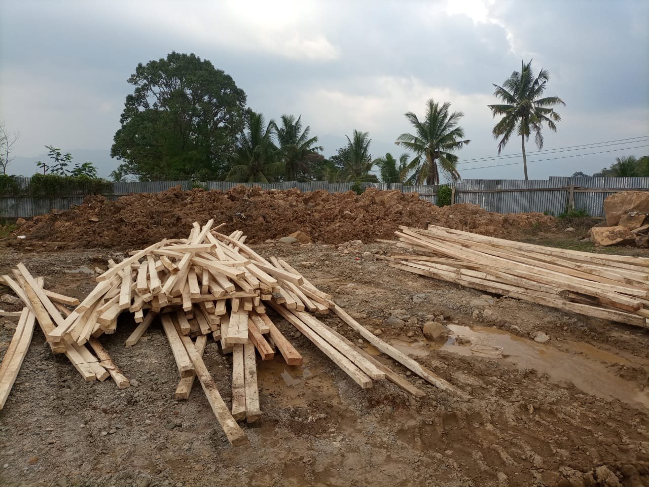 Dugaan Kasus Ilegal Logging Kades Huta Lombang Masuk Tahap Penyelidikan Polisi