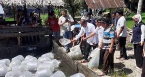 Fahrizal Serahkan Bantuan 36 Ribu Benih Ikan untuk Kelompok Tani Desa Manyabar