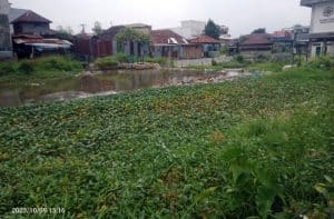 Sungai Aek Mata Kini Jadi Tempat Buang Sampah dan Kebun Gulma