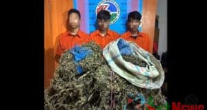 Polisi Tangkap Kurir Ganja dari Sumbar di Panyabungan Timur