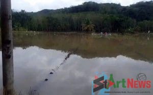 Sawah, Rumah dan Gereja Terendam di Siabu Akibat Tanggul Aek Sibontar Jebol