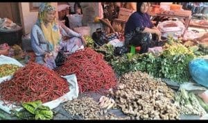 Cek Harga Sayur-mayur di Pasar Kotanopan: Bawang Naik, Cabai Merah Turun