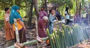 Tradisi Kaum Ibu Gotong-royong Masak Lemang Usai Panen di Desa Laru Dolok