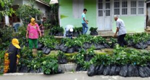 Anggota DPRD Sumut Rahmat Rayyan Salurkan Bibit Kopi kepada Petani di Madina